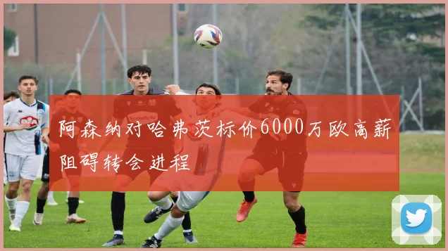 阿森纳对哈弗茨标价6000万欧高薪阻碍转会进程